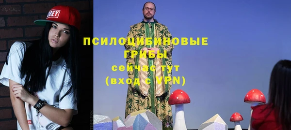 PSILOCYBIN Волосово