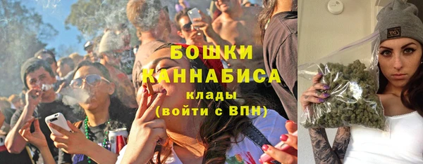 PSILOCYBIN Волосово